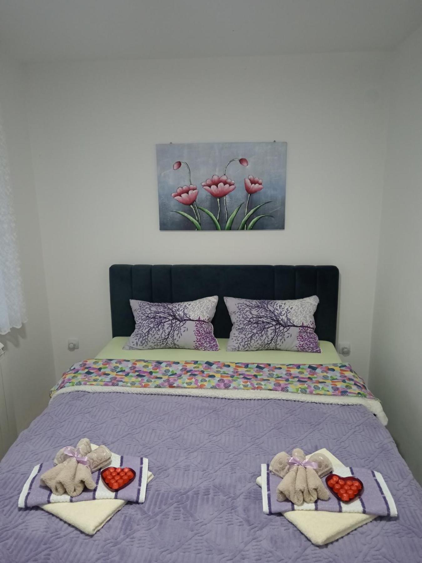 Apartman Lara Pirot Værelse billede