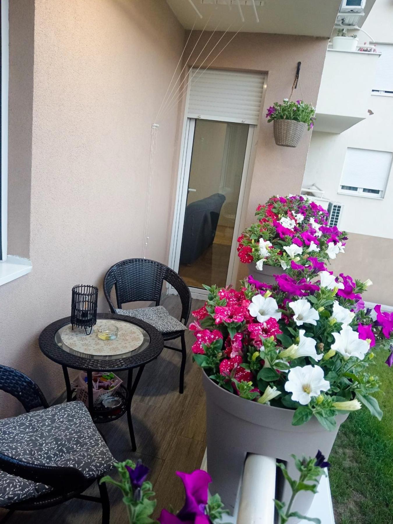 Apartman Lara Pirot Eksteriør billede